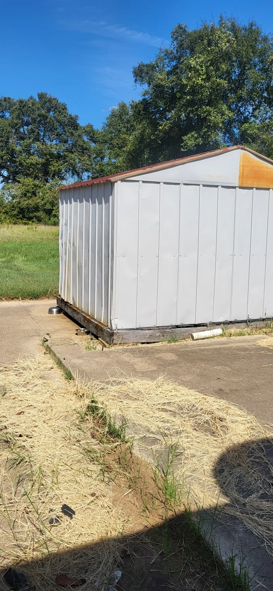 View of shed
