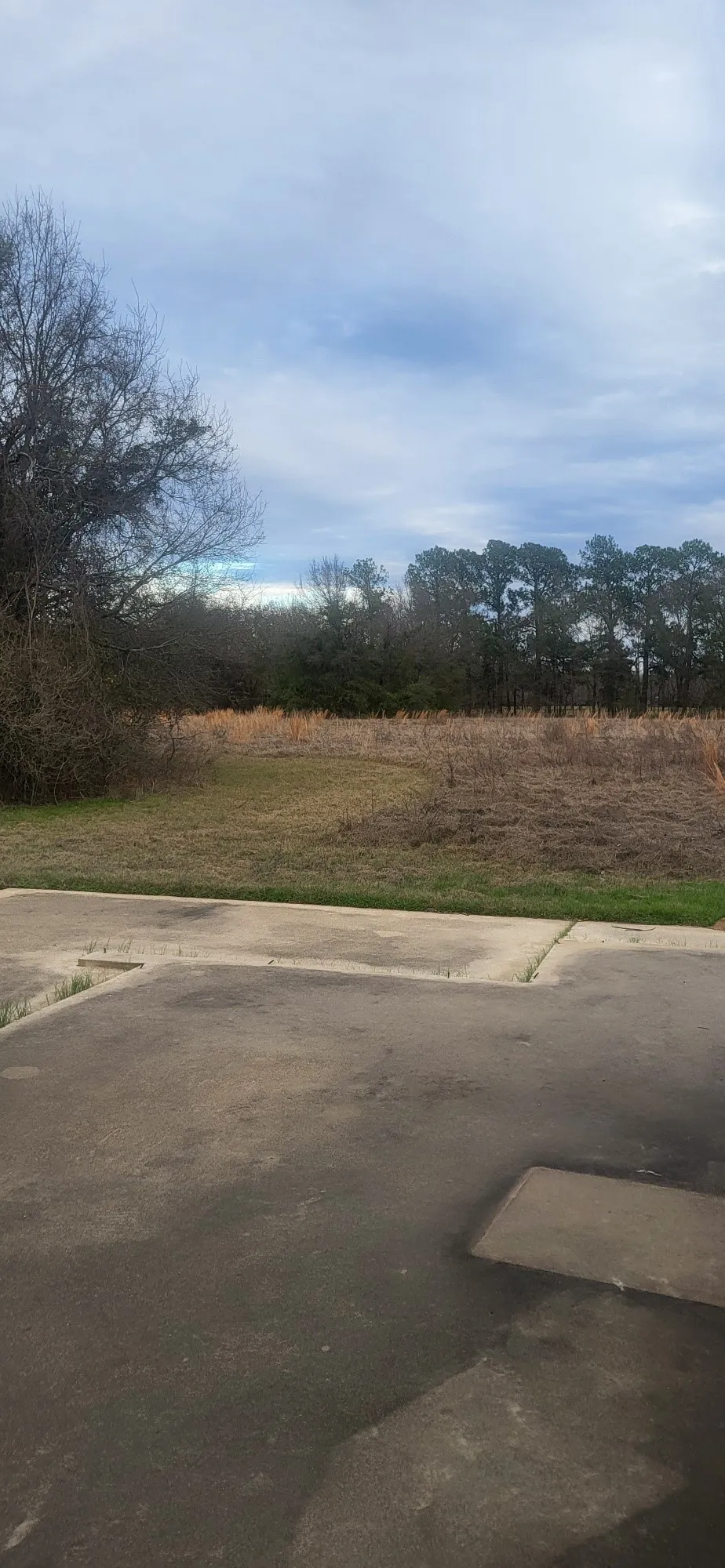    large pad site