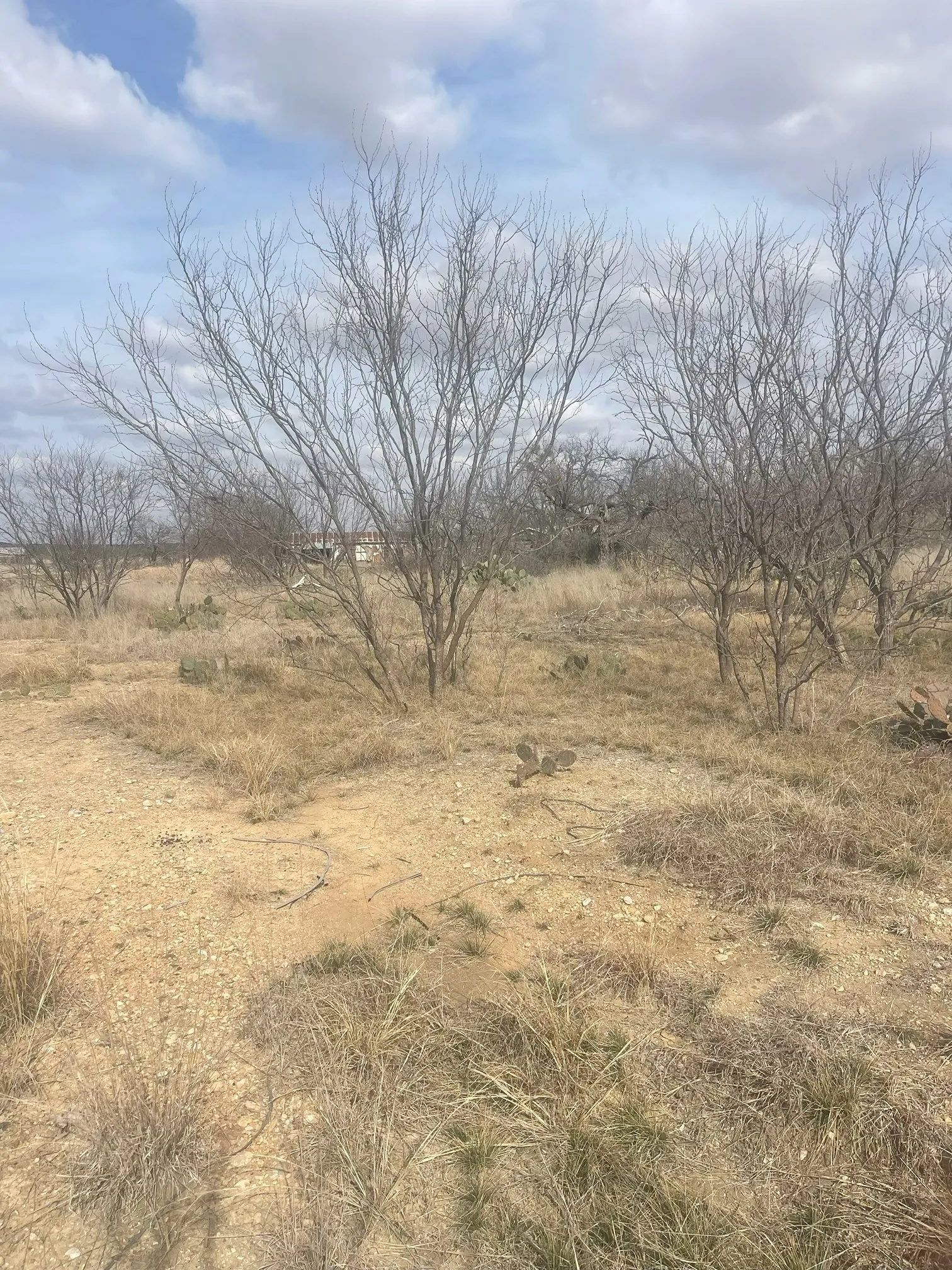 Unimproved Land For Sale in Brown County , TBD County Road 221, Brookesmith, Texas 76827, 0, 0, Garage spaces, 0 Sqft, built in 0, Price $12,700, mls#21193985, Real Estate Agent in Brookesmith, Homes For Sale in Brown county, Homes For Sale in Brookesmith, Realtor in Brookesmith Texas, Real Estate Brokerage Independent Realty Texas, Luminita Cordes Realtor