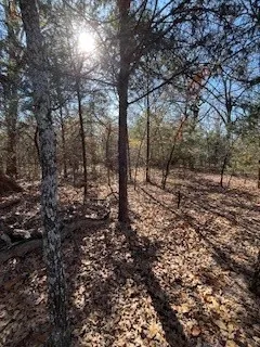 View of nature