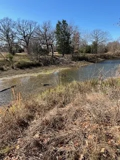 Pond view