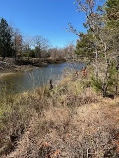 Pond view