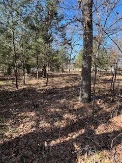 View of landscape of lots