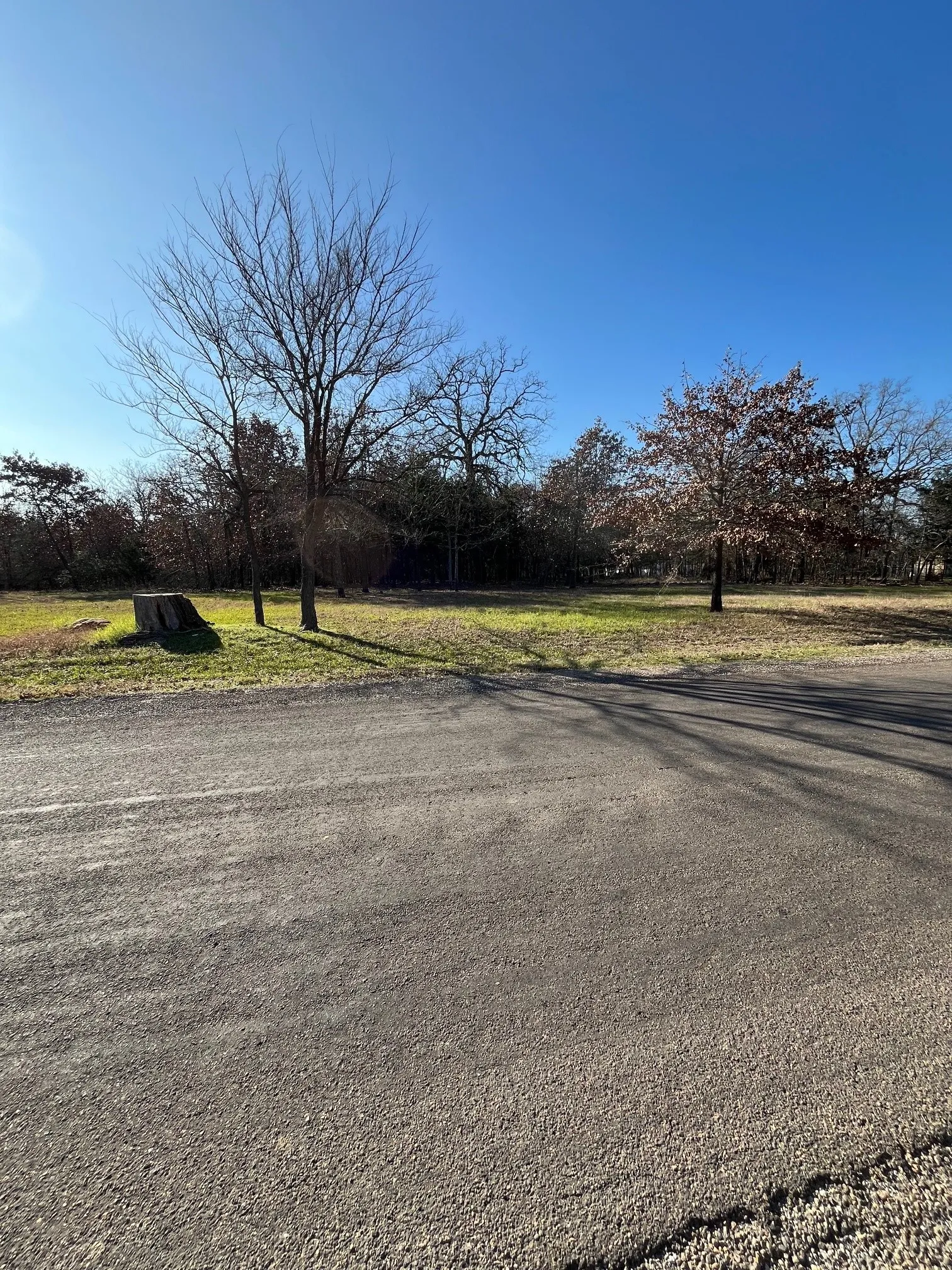 View of lots from across  of road