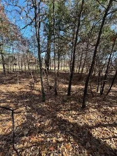 View of nature-going toward back of lots