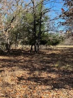 View of nature