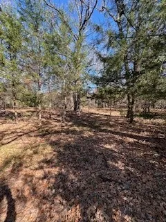 View of back area of lots