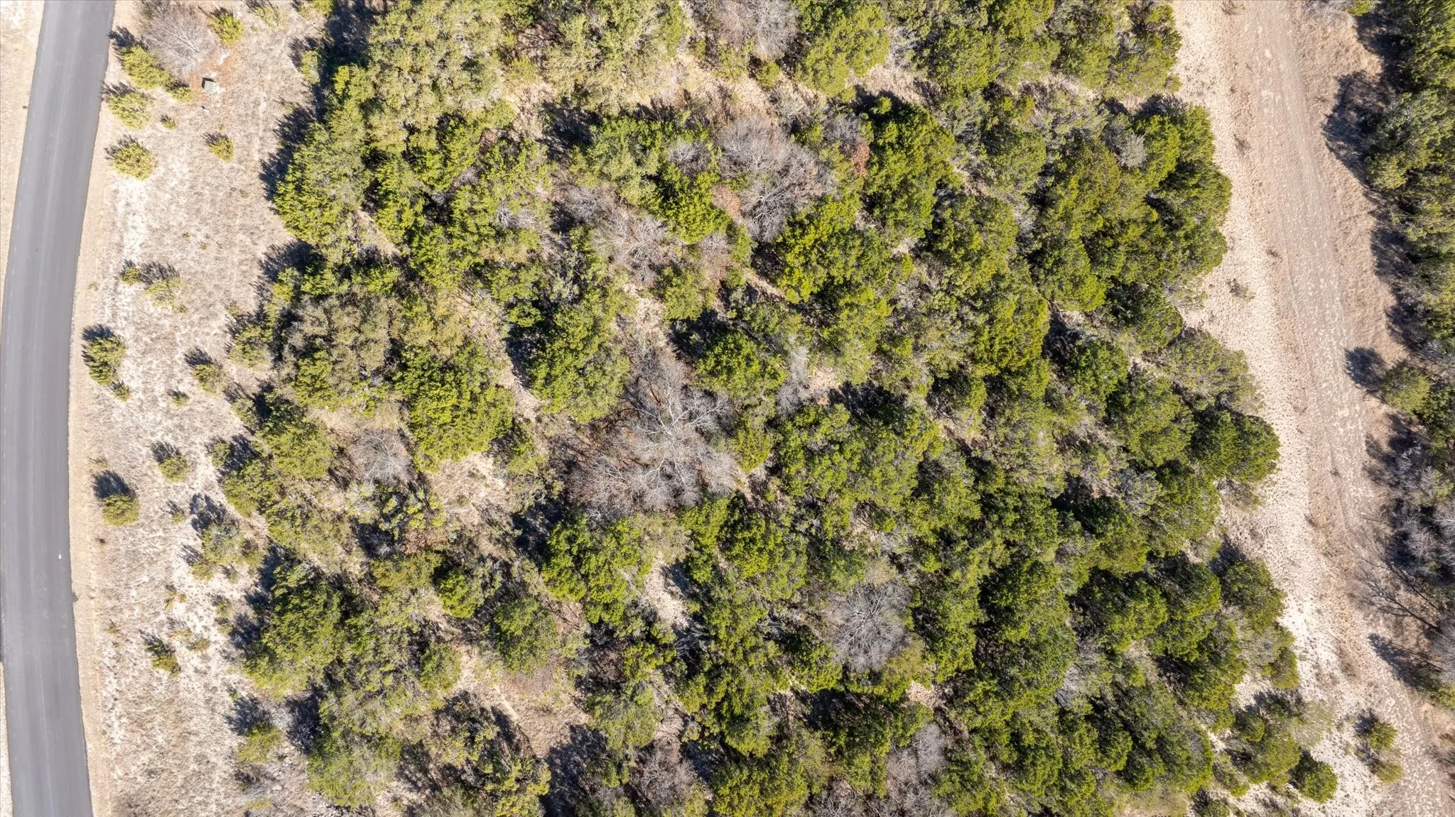 Unimproved Land For Sale in Erath County , 880 Sunfish Point, Bluff Dale, Texas 76433, 0, 0, Garage spaces, 0 Sqft, built in 0, mls#21189266, Real Estate Agent in Bluff Dale, Homes For Sale in Erath county, Homes For Sale in Bluff Dale, Realtor in Bluff Dale Texas, Real Estate Brokerage Independent Realty Texas, Luminita Cordes Realtor