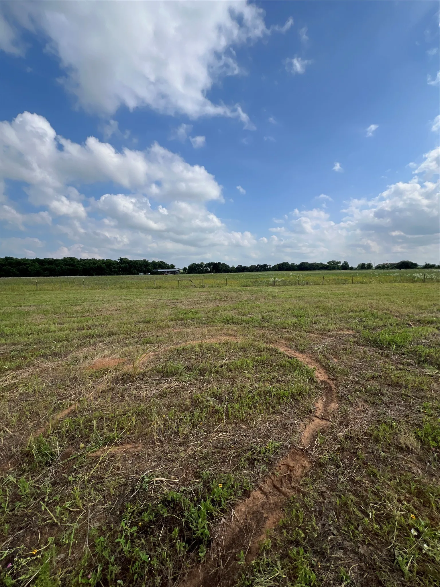Unimproved Land For Sale in Eastland County , 1757 County Road 252, Rising Star, Texas 76471, 0, 0, Garage spaces, 0 Sqft, built in 2022, mls#21188889, Real Estate Agent in Rising Star, Homes For Sale in Eastland county, Homes For Sale in Rising Star, Realtor in Rising Star Texas, Real Estate Brokerage Independent Realty Texas, Luminita Cordes Realtor