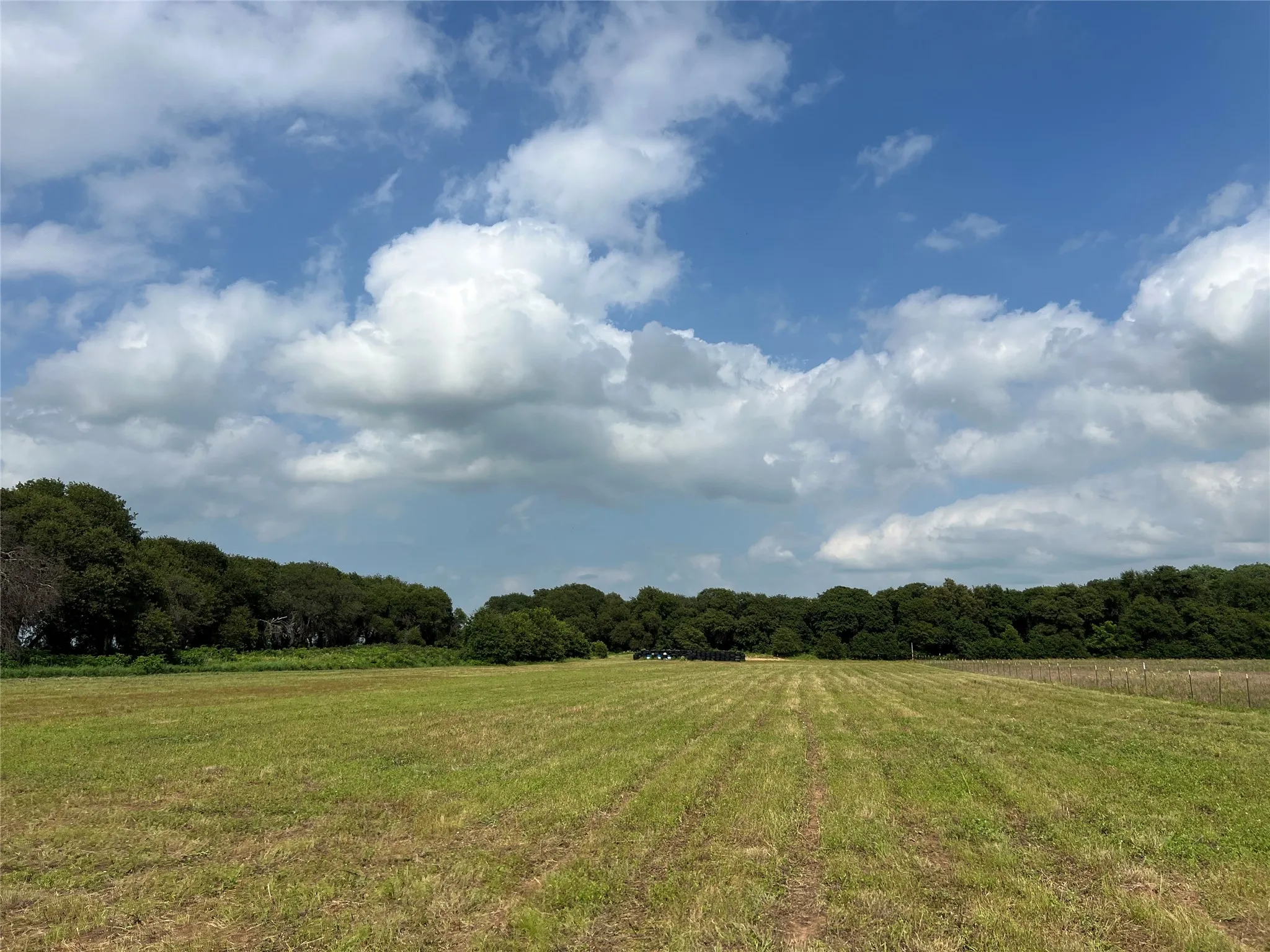 Unimproved Land For Sale in Eastland County , 1757 County Road 252, Rising Star, Texas 76471, 0, 0, Garage spaces, 0 Sqft, built in 2022, mls#21188889, Real Estate Agent in Rising Star, Homes For Sale in Eastland county, Homes For Sale in Rising Star, Realtor in Rising Star Texas, Real Estate Brokerage Independent Realty Texas, Luminita Cordes Realtor