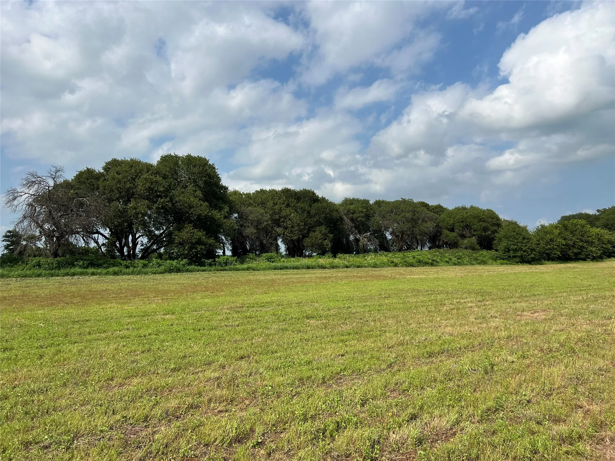 Unimproved Land For Sale in Eastland County , 1757 County Road 252, Rising Star, Texas 76471, 0, 0, Garage spaces, 0 Sqft, built in 2022, mls#21188889, Real Estate Agent in Rising Star, Homes For Sale in Eastland county, Homes For Sale in Rising Star, Realtor in Rising Star Texas, Real Estate Brokerage Independent Realty Texas, Luminita Cordes Realtor