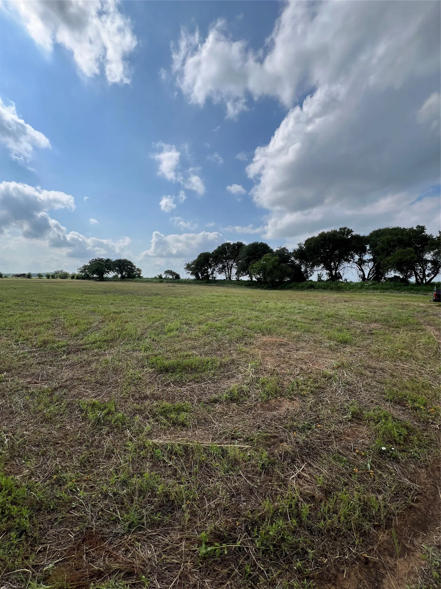 Unimproved Land For Sale in Eastland County , 1757 County Road 252, Rising Star, Texas 76471, 0, 0, Garage spaces, 0 Sqft, built in 2022, mls#21188889, Real Estate Agent in Rising Star, Homes For Sale in Eastland county, Homes For Sale in Rising Star, Realtor in Rising Star Texas, Real Estate Brokerage Independent Realty Texas, Luminita Cordes Realtor