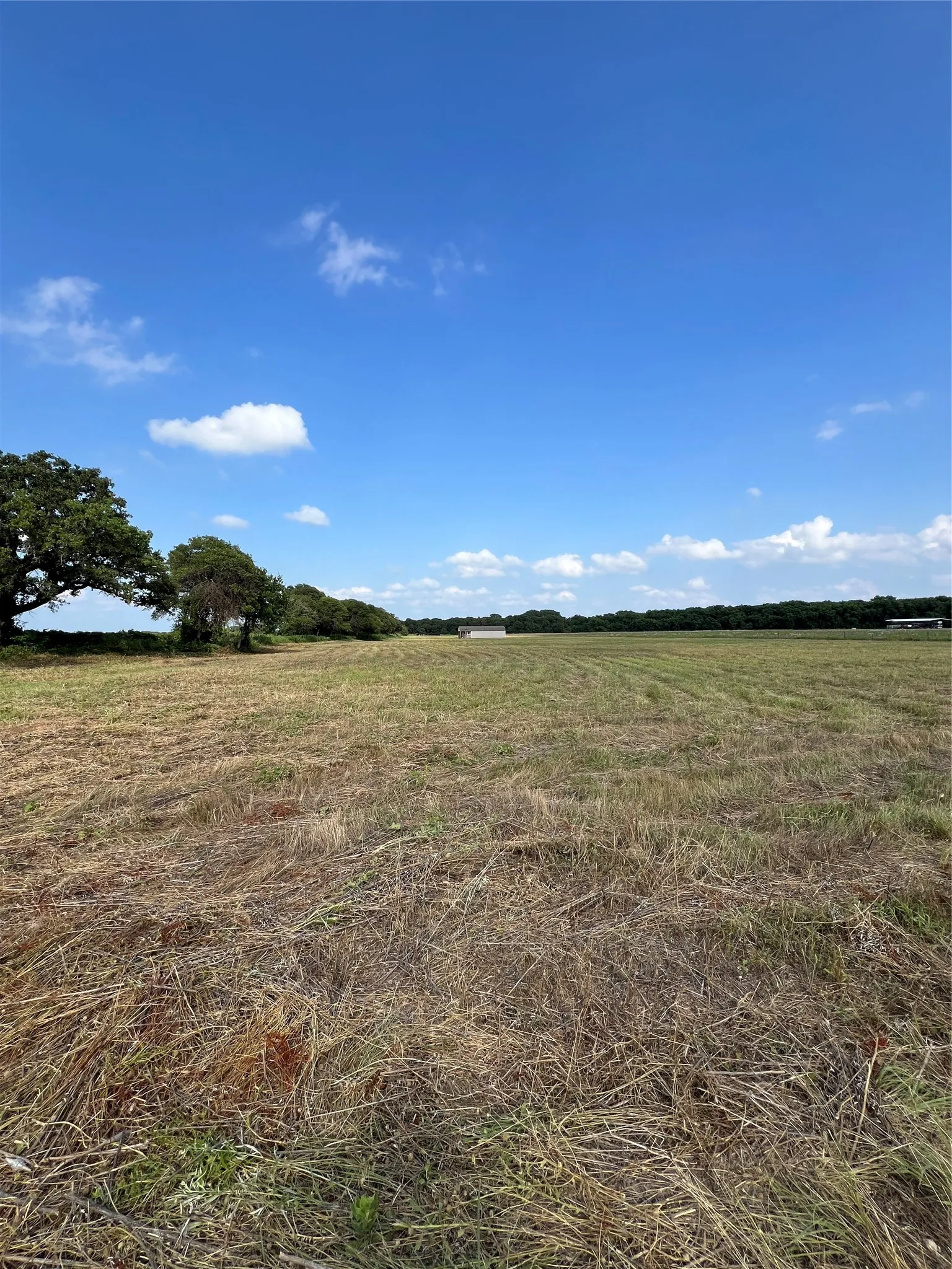 Unimproved Land For Sale in Eastland County , 1757 County Road 252, Rising Star, Texas 76471, 0, 0, Garage spaces, 0 Sqft, built in 2022, mls#21188889, Real Estate Agent in Rising Star, Homes For Sale in Eastland county, Homes For Sale in Rising Star, Realtor in Rising Star Texas, Real Estate Brokerage Independent Realty Texas, Luminita Cordes Realtor
