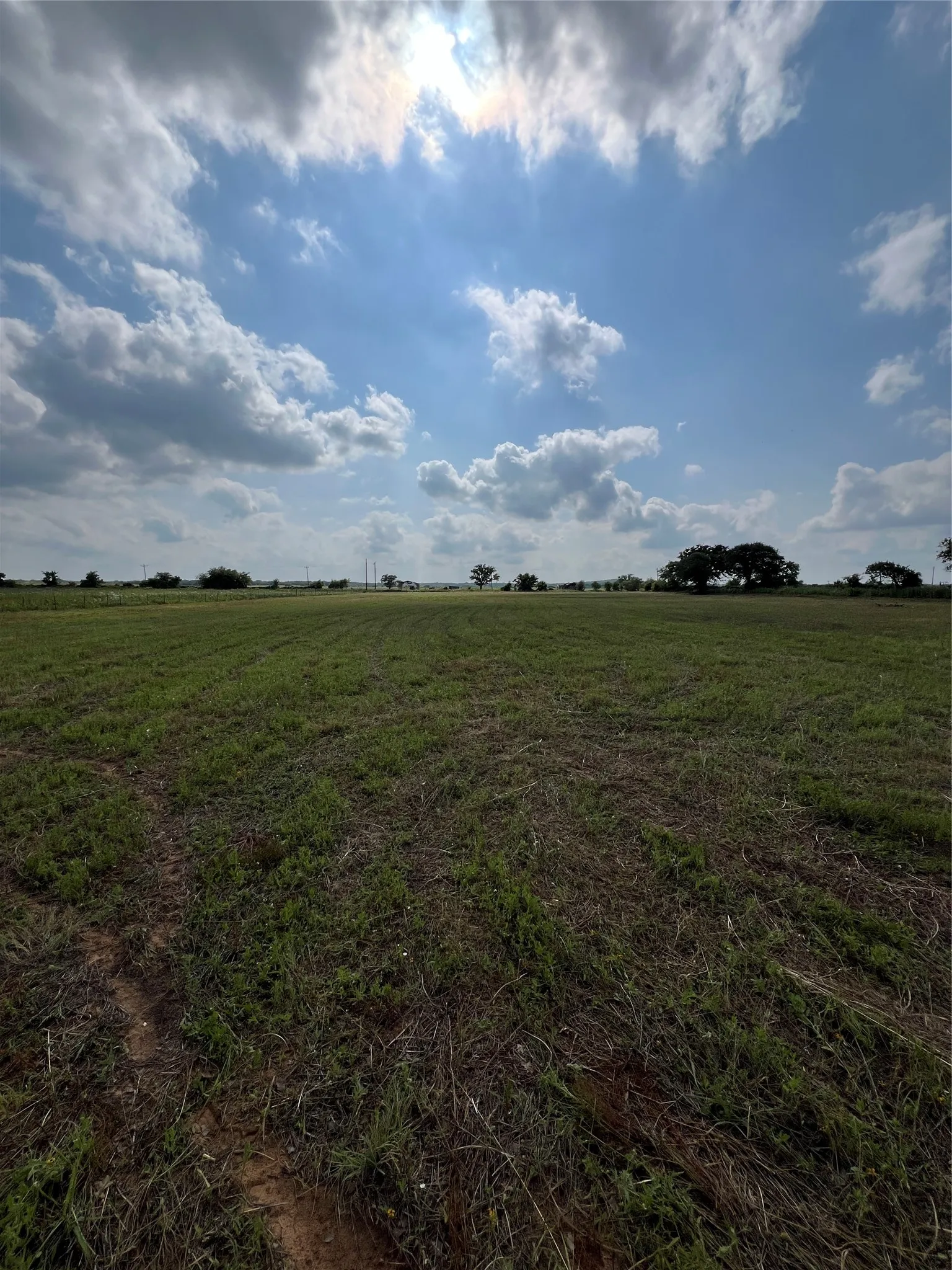 Unimproved Land For Sale in Eastland County , 1757 County Road 252, Rising Star, Texas 76471, 0, 0, Garage spaces, 0 Sqft, built in 2022, mls#21188889, Real Estate Agent in Rising Star, Homes For Sale in Eastland county, Homes For Sale in Rising Star, Realtor in Rising Star Texas, Real Estate Brokerage Independent Realty Texas, Luminita Cordes Realtor