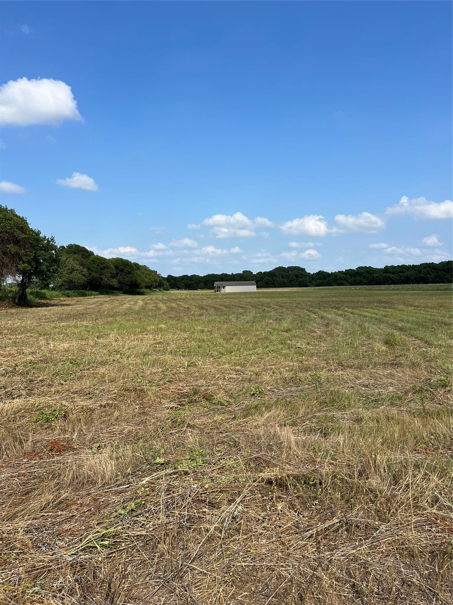 Unimproved Land For Sale in Eastland County , 1757 County Road 252, Rising Star, Texas 76471, 0, 0, Garage spaces, 0 Sqft, built in 2022, mls#21188889, Real Estate Agent in Rising Star, Homes For Sale in Eastland county, Homes For Sale in Rising Star, Realtor in Rising Star Texas, Real Estate Brokerage Independent Realty Texas, Luminita Cordes Realtor