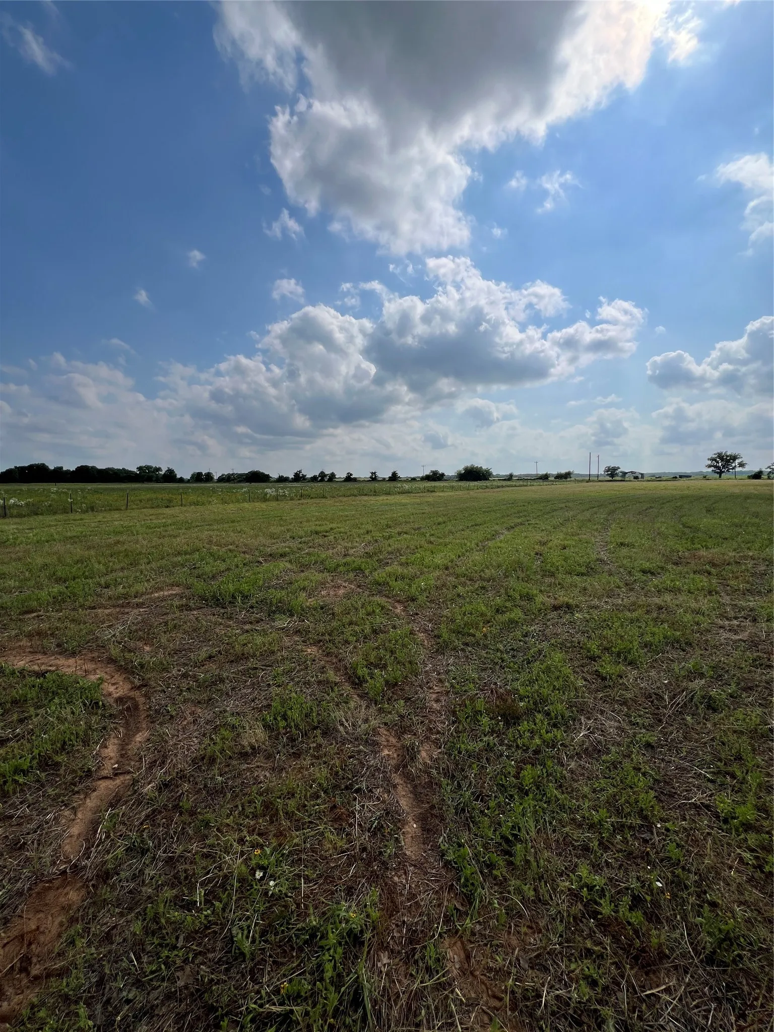 Unimproved Land For Sale in Eastland County , 1757 County Road 252, Rising Star, Texas 76471, 0, 0, Garage spaces, 0 Sqft, built in 2022, mls#21188889, Real Estate Agent in Rising Star, Homes For Sale in Eastland county, Homes For Sale in Rising Star, Realtor in Rising Star Texas, Real Estate Brokerage Independent Realty Texas, Luminita Cordes Realtor