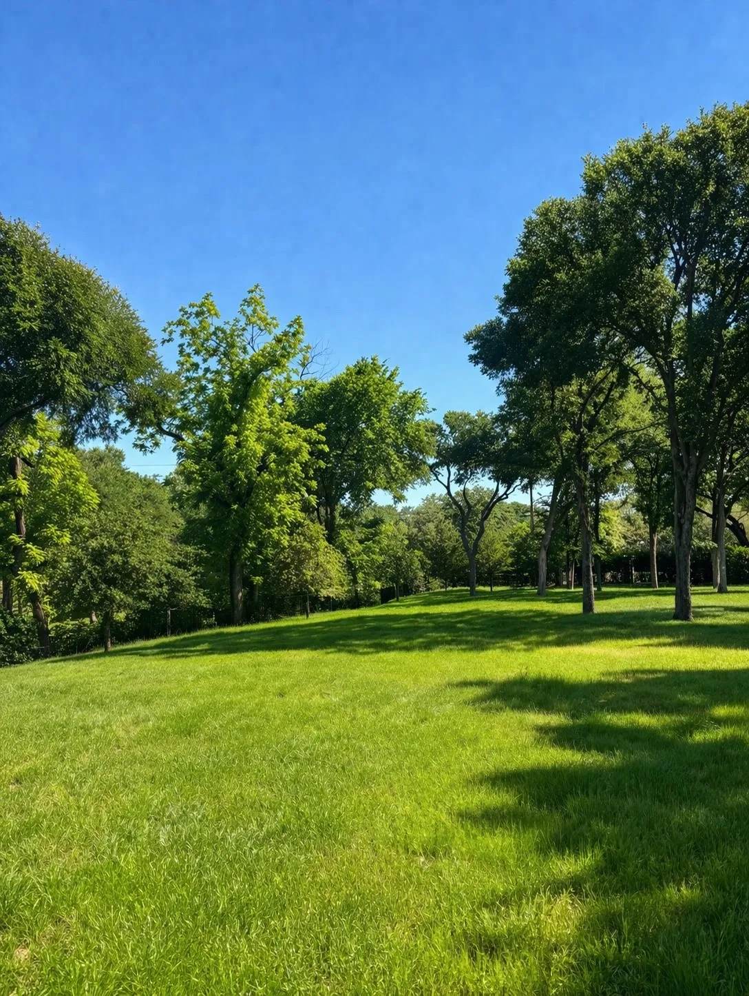 Single Family Residence For Sale in Dallas County , 10010 Strait Lane, Dallas, Texas 75229, 7 Bedroom, 11 Bathroom, 10 Garage spaces, 16,684 Sqft, built in 2026, New Construction - Incomplete, mls#21190599, Real Estate Agent in Dallas, Homes For Sale in Dallas county, Homes For Sale in Dallas, Realtor in Dallas Texas, Real Estate Brokerage Independent Realty Texas, Luminita Cordes Realtor