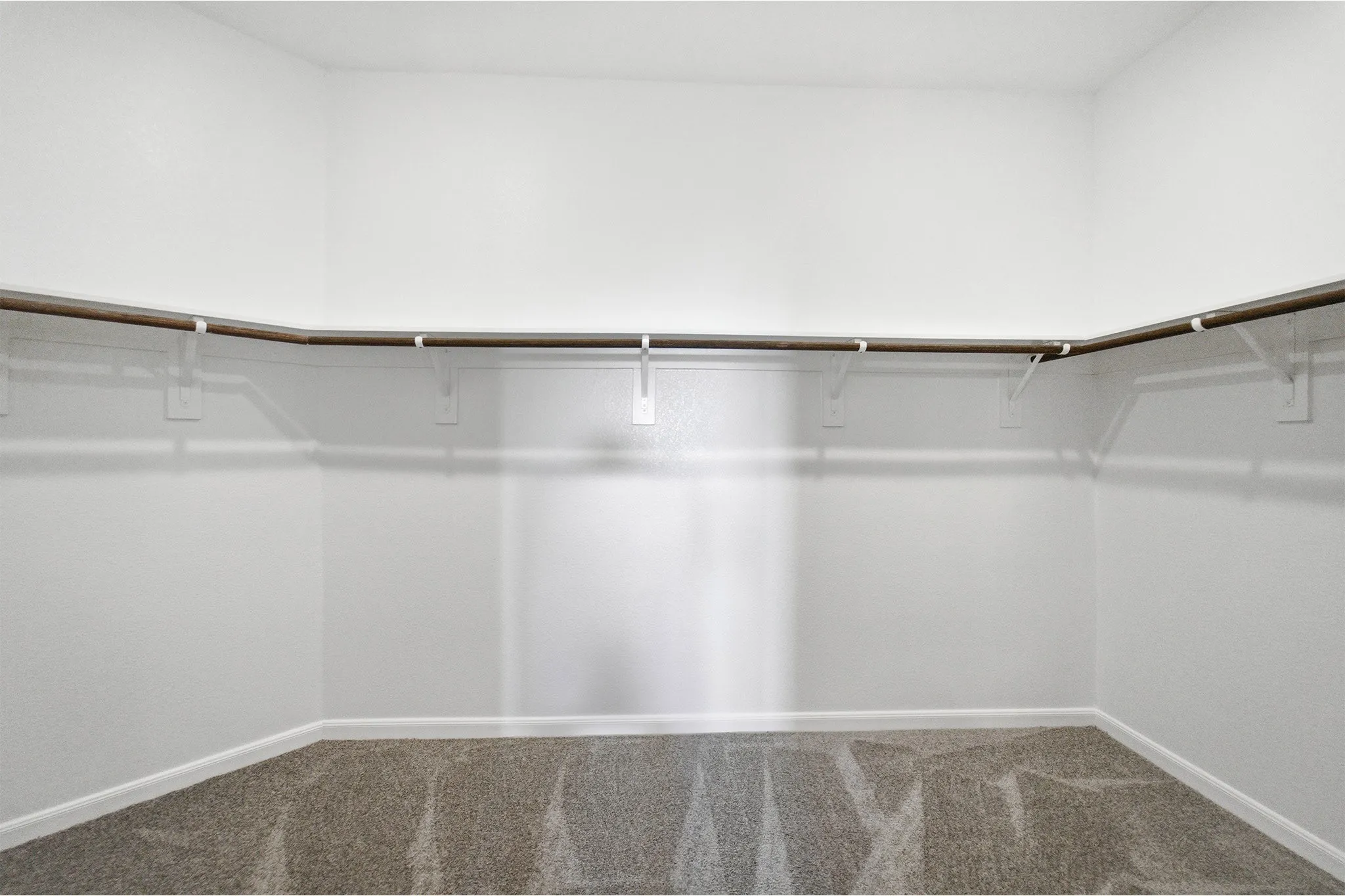 Walk-in closet with carpet flooring, white walls, white baseboards, and built-in shelving with hanging rods