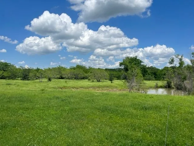 Unimproved Land For Sale in Grayson County , 000 Davy Lane, Denison, Texas 75020, 0, 0, Garage spaces, 0 Sqft, built in 0, Price $845,000, mls#21194539, Real Estate Agent in Denison, Homes For Sale in Grayson county, Homes For Sale in Denison, Realtor in Denison Texas, Real Estate Brokerage Independent Realty Texas, Luminita Cordes Realtor
