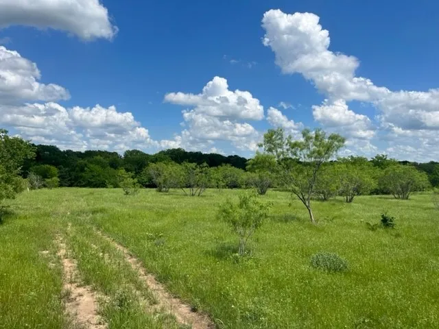 Unimproved Land For Sale in Grayson County , 000 Davy Lane, Denison, Texas 75020, 0, 0, Garage spaces, 0 Sqft, built in 0, Price $845,000, mls#21194539, Real Estate Agent in Denison, Homes For Sale in Grayson county, Homes For Sale in Denison, Realtor in Denison Texas, Real Estate Brokerage Independent Realty Texas, Luminita Cordes Realtor