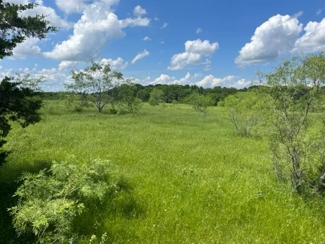 Unimproved Land For Sale in Grayson County , 000 Davy Lane, Denison, Texas 75020, 0, 0, Garage spaces, 0 Sqft, built in 0, Price $845,000, mls#21194539, Real Estate Agent in Denison, Homes For Sale in Grayson county, Homes For Sale in Denison, Realtor in Denison Texas, Real Estate Brokerage Independent Realty Texas, Luminita Cordes Realtor