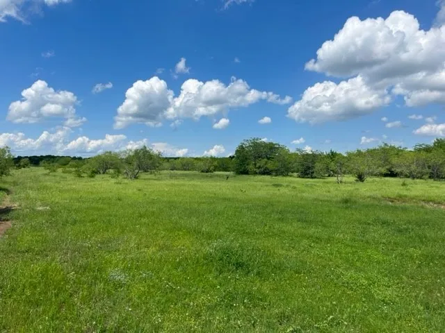 Unimproved Land For Sale in Grayson County , 000 Davy Lane, Denison, Texas 75020, 0, 0, Garage spaces, 0 Sqft, built in 0, Price $845,000, mls#21194539, Real Estate Agent in Denison, Homes For Sale in Grayson county, Homes For Sale in Denison, Realtor in Denison Texas, Real Estate Brokerage Independent Realty Texas, Luminita Cordes Realtor
