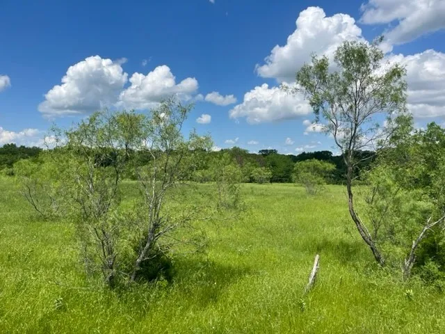 Unimproved Land For Sale in Grayson County , 000 Davy Lane, Denison, Texas 75020, 0, 0, Garage spaces, 0 Sqft, built in 0, Price $845,000, mls#21194539, Real Estate Agent in Denison, Homes For Sale in Grayson county, Homes For Sale in Denison, Realtor in Denison Texas, Real Estate Brokerage Independent Realty Texas, Luminita Cordes Realtor