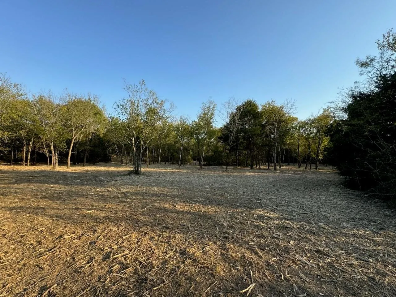 Unimproved Land For Sale in Kaufman County , 00 FM RD 1836 Highway, Mabank, Texas 75147, 0, 0, Garage spaces, 0 Sqft, built in 0, mls#21183360, Real Estate Agent in Mabank, Homes For Sale in Kaufman county, Homes For Sale in Mabank, Realtor in Mabank Texas, Real Estate Brokerage Independent Realty Texas, Luminita Cordes Realtor