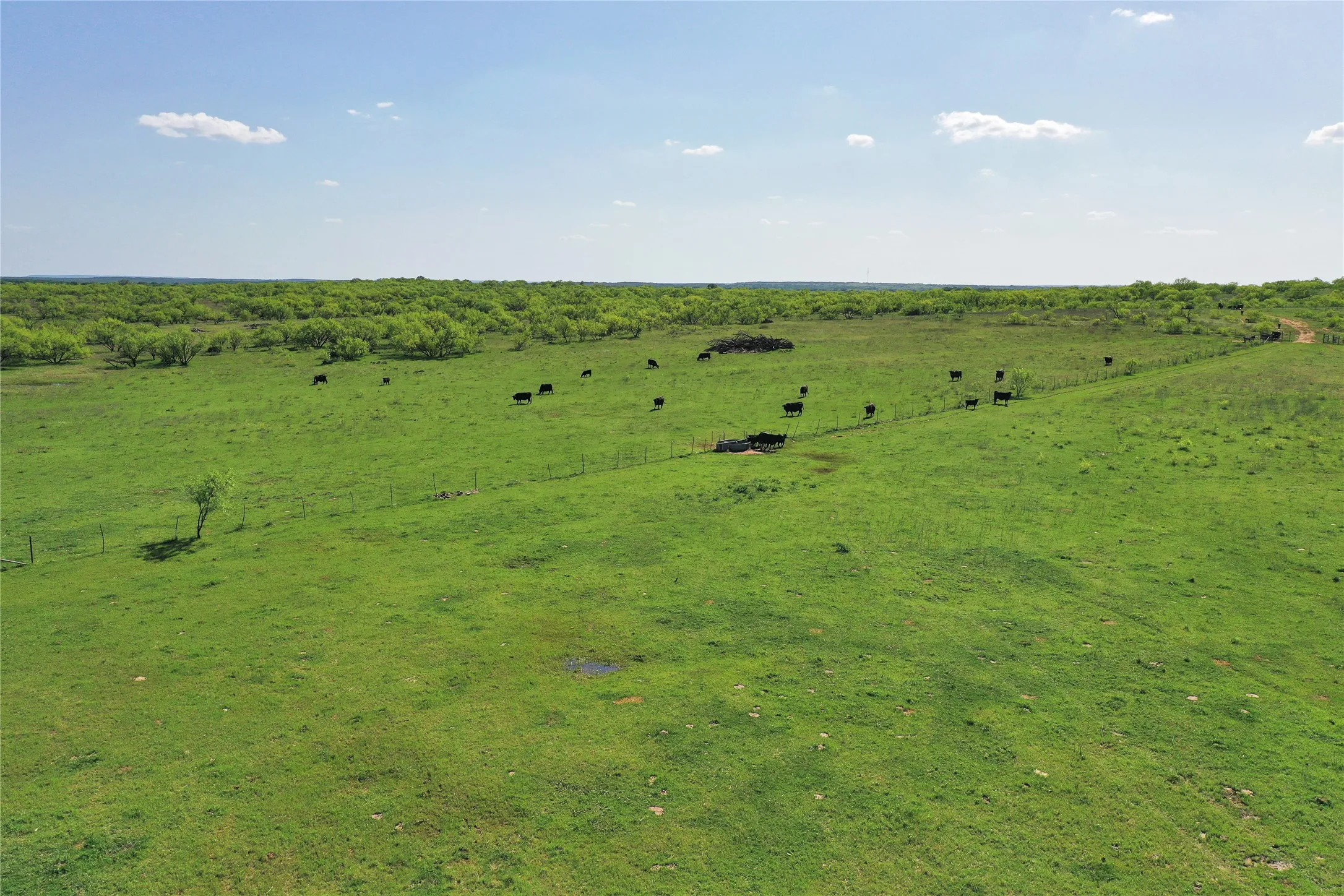 Improved Land For Sale in Jack County , 8617 FM 175, Jacksboro, Texas 76458, 0, 0, Garage spaces, 0 Sqft, built in 2004, Price $2,350,000, mls#21192587, Real Estate Agent in Jacksboro, Homes For Sale in Jack county, Homes For Sale in Jacksboro, Realtor in Jacksboro Texas, Real Estate Brokerage Independent Realty Texas, Luminita Cordes Realtor