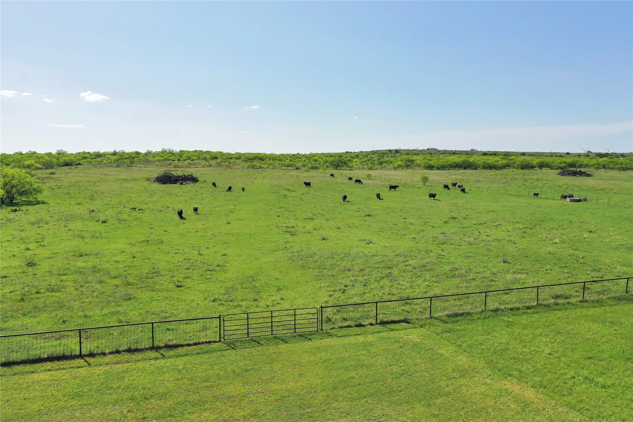 Improved Land For Sale in Jack County , 8617 FM 175, Jacksboro, Texas 76458, 0, 0, Garage spaces, 0 Sqft, built in 2004, Price $2,350,000, mls#21192587, Real Estate Agent in Jacksboro, Homes For Sale in Jack county, Homes For Sale in Jacksboro, Realtor in Jacksboro Texas, Real Estate Brokerage Independent Realty Texas, Luminita Cordes Realtor