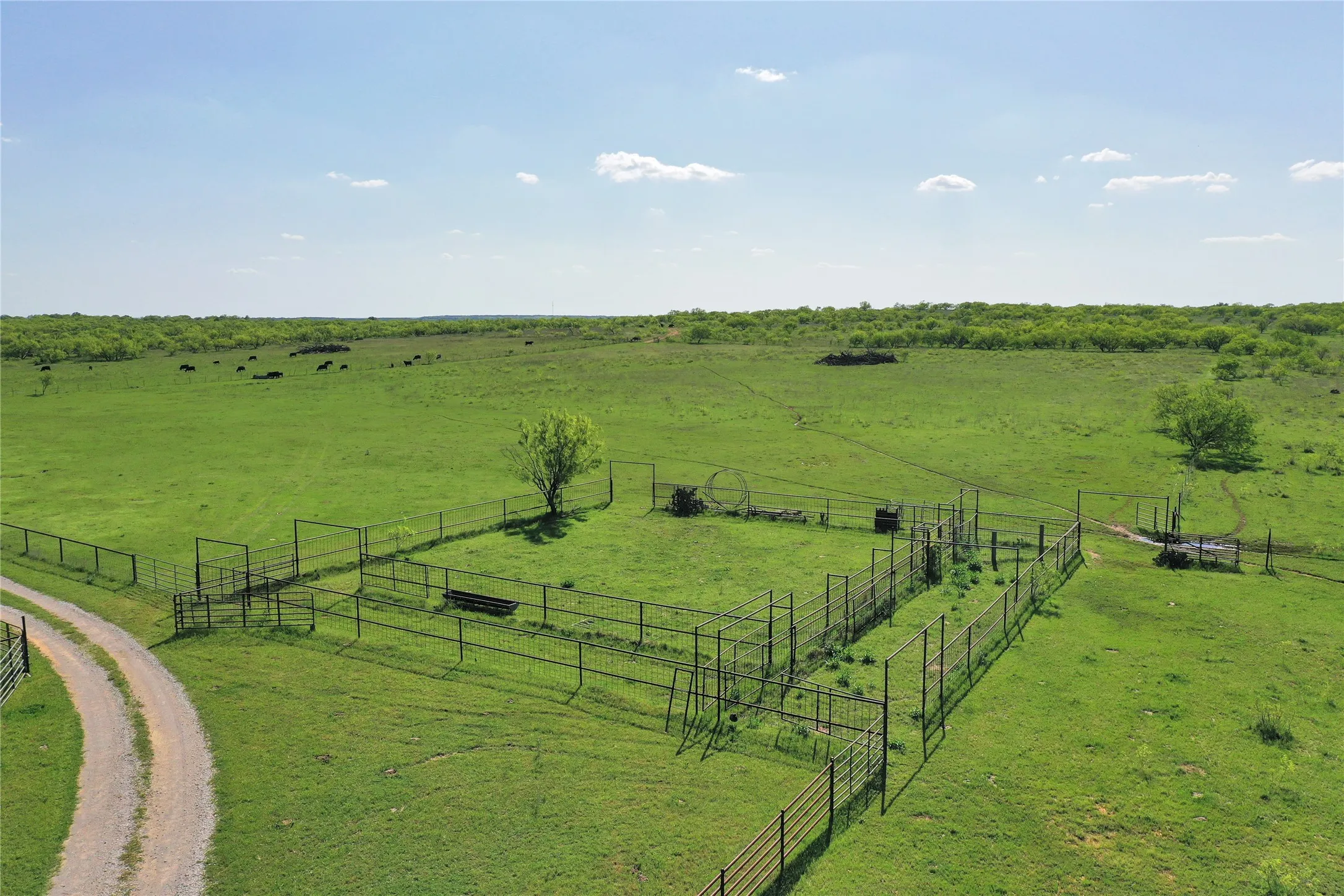 Improved Land For Sale in Jack County , 8617 FM 175, Jacksboro, Texas 76458, 0, 0, Garage spaces, 0 Sqft, built in 2004, Price $2,350,000, mls#21192587, Real Estate Agent in Jacksboro, Homes For Sale in Jack county, Homes For Sale in Jacksboro, Realtor in Jacksboro Texas, Real Estate Brokerage Independent Realty Texas, Luminita Cordes Realtor