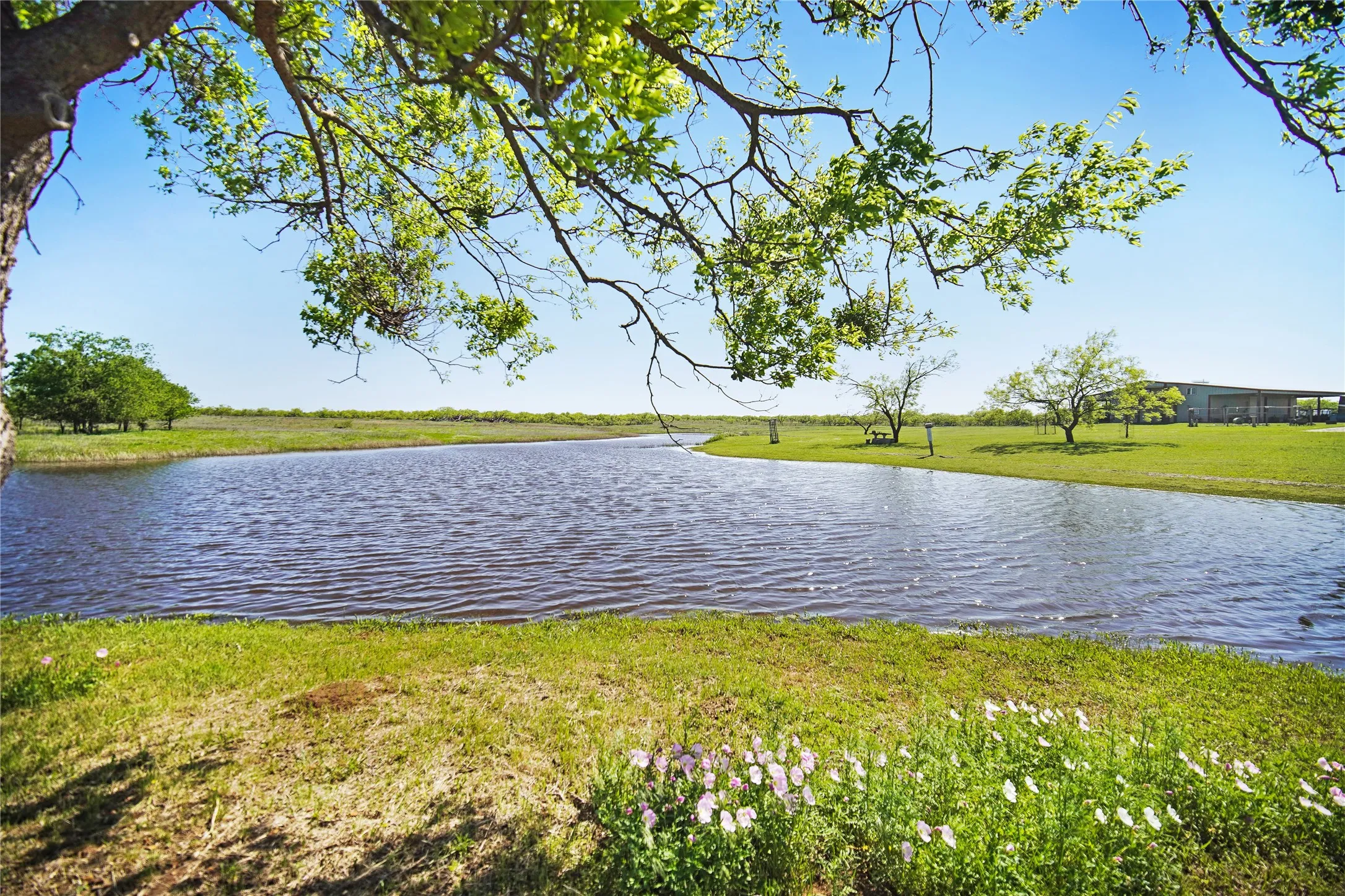 Farm For Sale in Jack County , 8617 Farm to Market 175, Jacksboro, Texas 76458, 2 Bedroom, 2 Bathroom, Garage spaces, 1,671 Sqft, built in 2004, mls#21194580, Real Estate Agent in Jacksboro, Homes For Sale in Jack county, Homes For Sale in Jacksboro, Realtor in Jacksboro Texas, Real Estate Brokerage Independent Realty Texas, Luminita Cordes Realtor