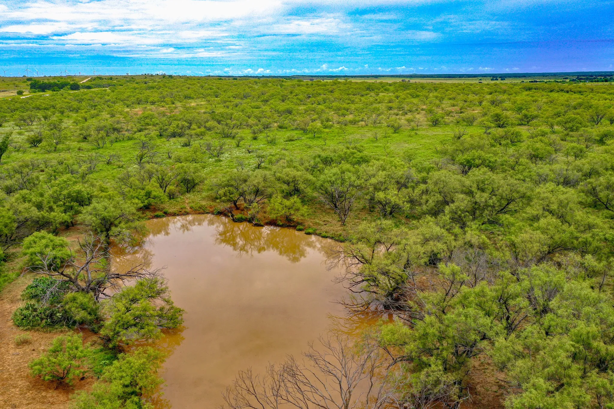 Farm For Sale in Jack County , 8617 Farm to Market 175, Jacksboro, Texas 76458, 2 Bedroom, 2 Bathroom, Garage spaces, 1,671 Sqft, built in 2004, mls#21194580, Real Estate Agent in Jacksboro, Homes For Sale in Jack county, Homes For Sale in Jacksboro, Realtor in Jacksboro Texas, Real Estate Brokerage Independent Realty Texas, Luminita Cordes Realtor