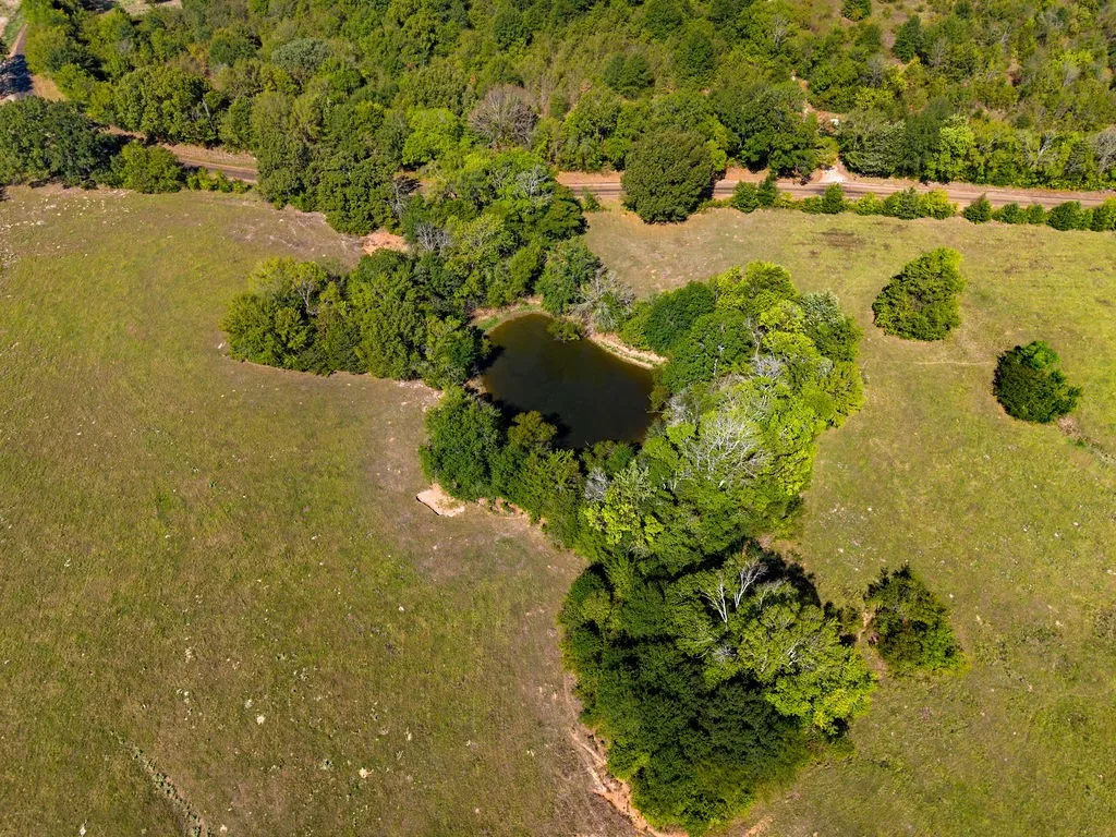 Ranch For Sale in Van Zandt County , 741 County Road 1222, Grand Saline, Texas 75140, 0, 0, Garage spaces, 0 Sqft, built in 0, mls#21191571, Real Estate Agent in Grand Saline, Homes For Sale in Van Zandt county, Homes For Sale in Grand Saline, Realtor in Grand Saline Texas, Real Estate Brokerage Independent Realty Texas, Luminita Cordes Realtor