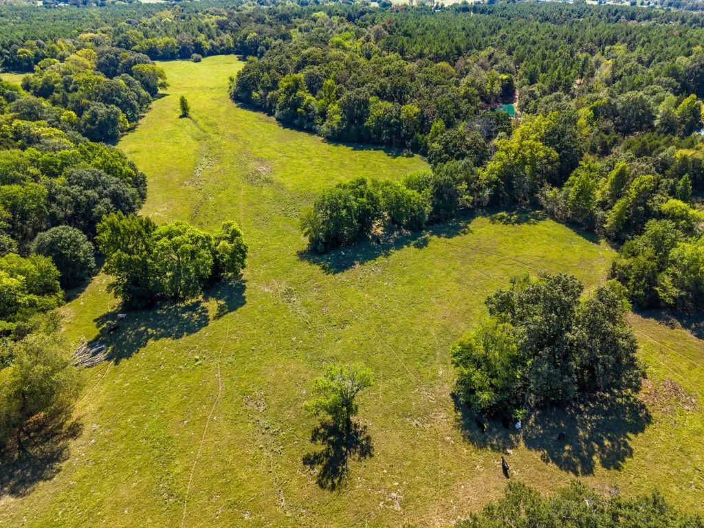Ranch For Sale in Van Zandt County , 741 County Road 1222, Grand Saline, Texas 75140, 0, 0, Garage spaces, 0 Sqft, built in 0, mls#21191571, Real Estate Agent in Grand Saline, Homes For Sale in Van Zandt county, Homes For Sale in Grand Saline, Realtor in Grand Saline Texas, Real Estate Brokerage Independent Realty Texas, Luminita Cordes Realtor