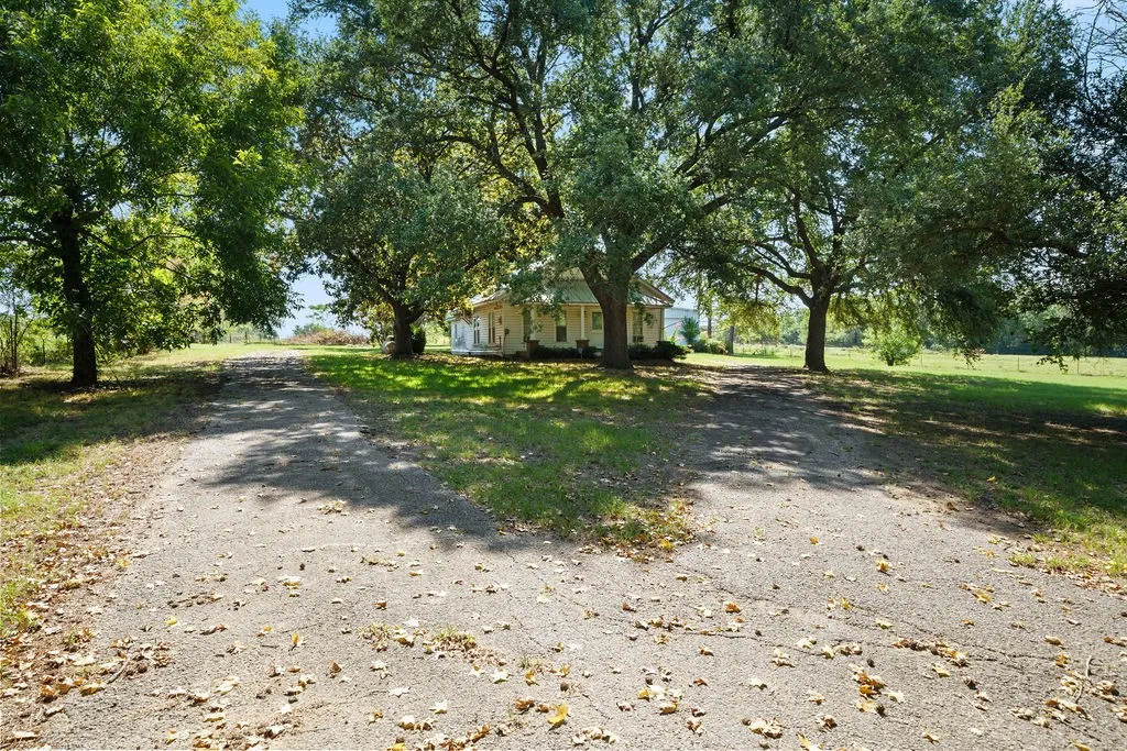 Ranch For Sale in Van Zandt County , 741 County Road 1222, Grand Saline, Texas 75140, 0, 0, Garage spaces, 0 Sqft, built in 0, mls#21191571, Real Estate Agent in Grand Saline, Homes For Sale in Van Zandt county, Homes For Sale in Grand Saline, Realtor in Grand Saline Texas, Real Estate Brokerage Independent Realty Texas, Luminita Cordes Realtor