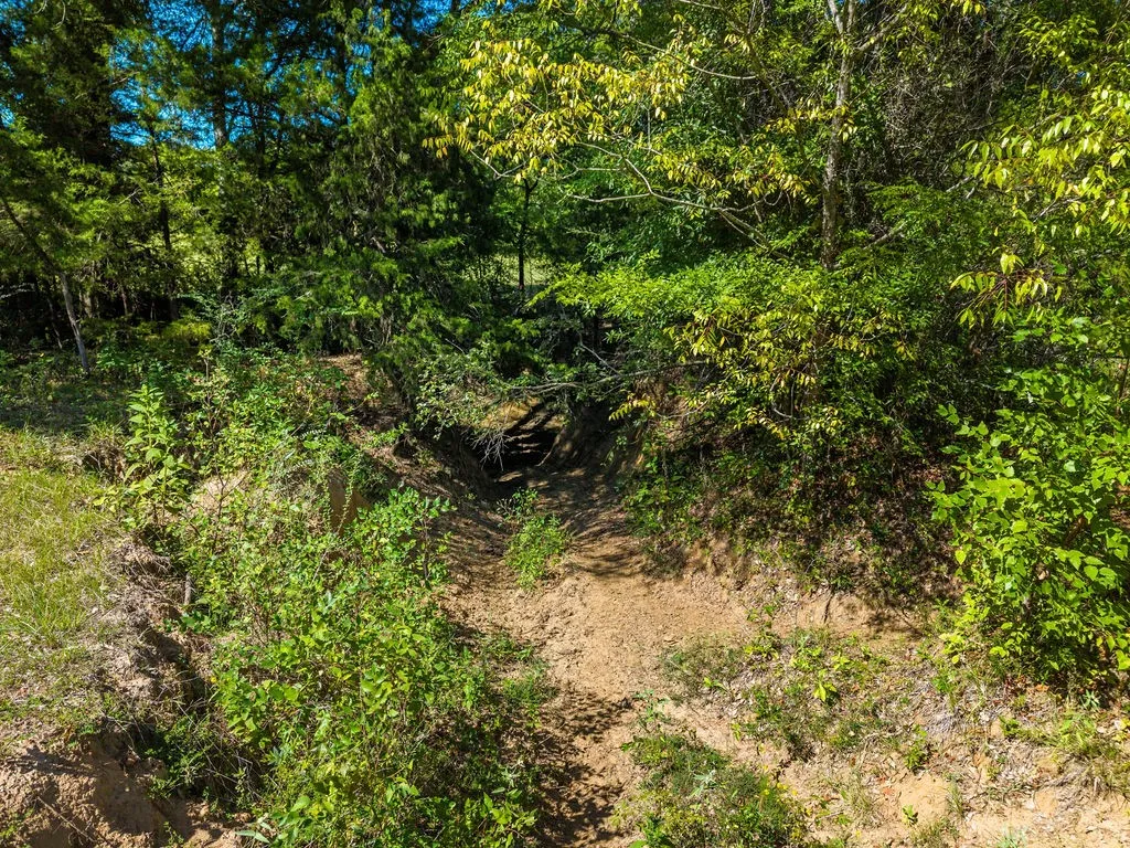 Ranch For Sale in Van Zandt County , 741 County Road 1222, Grand Saline, Texas 75140, 0, 0, Garage spaces, 0 Sqft, built in 0, mls#21191571, Real Estate Agent in Grand Saline, Homes For Sale in Van Zandt county, Homes For Sale in Grand Saline, Realtor in Grand Saline Texas, Real Estate Brokerage Independent Realty Texas, Luminita Cordes Realtor