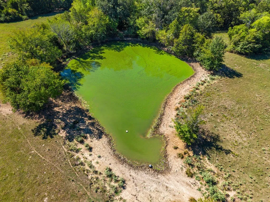Ranch For Sale in Van Zandt County , 741 County Road 1222, Grand Saline, Texas 75140, 0, 0, Garage spaces, 0 Sqft, built in 0, mls#21191571, Real Estate Agent in Grand Saline, Homes For Sale in Van Zandt county, Homes For Sale in Grand Saline, Realtor in Grand Saline Texas, Real Estate Brokerage Independent Realty Texas, Luminita Cordes Realtor