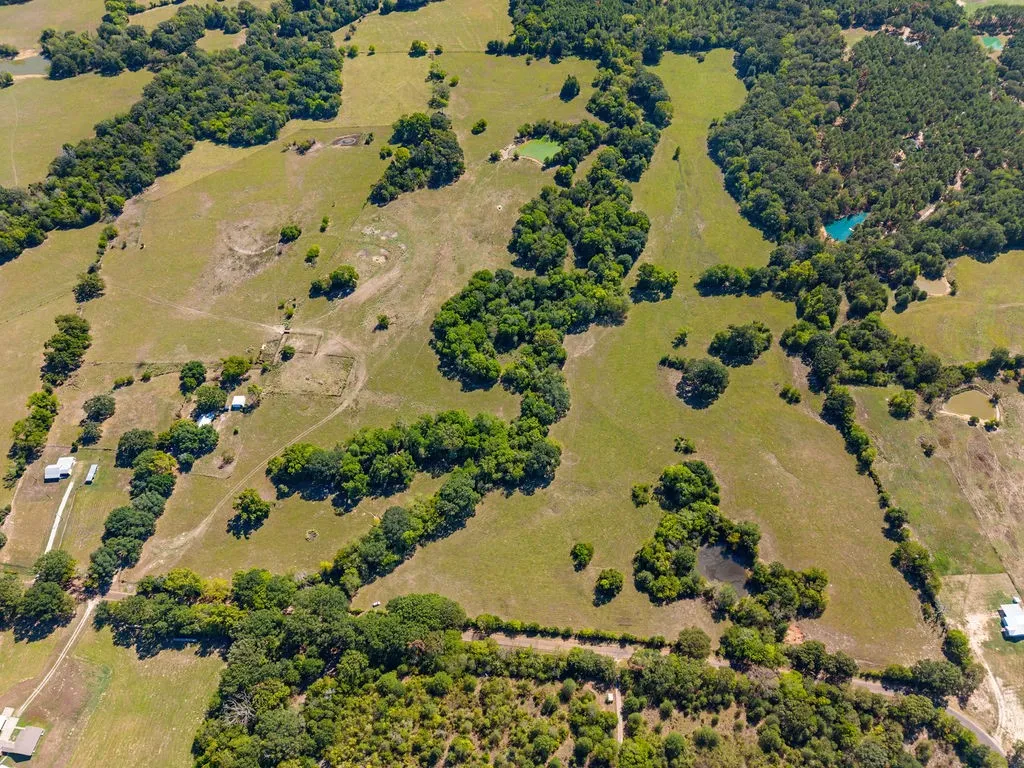 Ranch For Sale in Van Zandt County , 741 County Road 1222, Grand Saline, Texas 75140, 0, 0, Garage spaces, 0 Sqft, built in 0, mls#21191571, Real Estate Agent in Grand Saline, Homes For Sale in Van Zandt county, Homes For Sale in Grand Saline, Realtor in Grand Saline Texas, Real Estate Brokerage Independent Realty Texas, Luminita Cordes Realtor