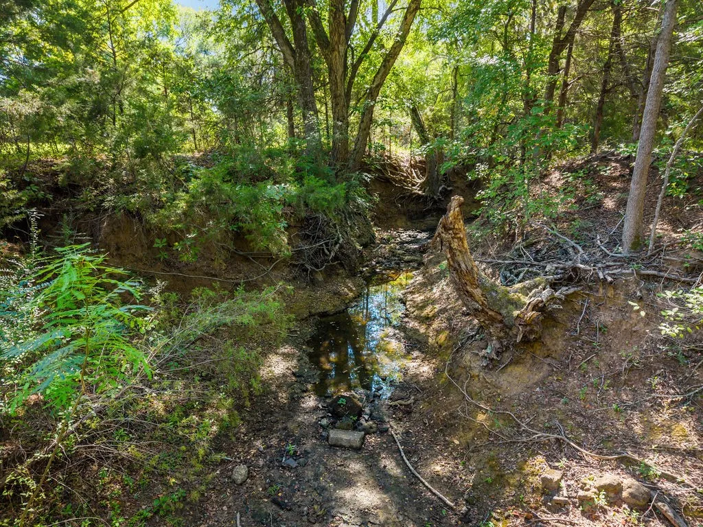 Ranch For Sale in Van Zandt County , 741 County Road 1222, Grand Saline, Texas 75140, 0, 0, Garage spaces, 0 Sqft, built in 0, mls#21191571, Real Estate Agent in Grand Saline, Homes For Sale in Van Zandt county, Homes For Sale in Grand Saline, Realtor in Grand Saline Texas, Real Estate Brokerage Independent Realty Texas, Luminita Cordes Realtor