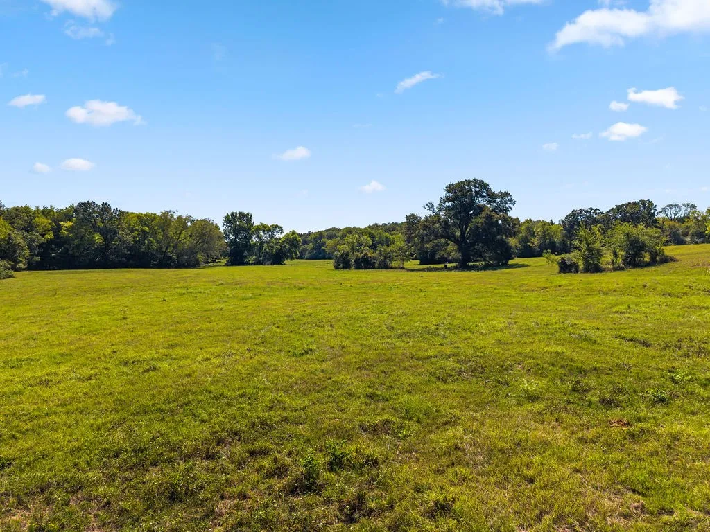 Ranch For Sale in Van Zandt County , 741 County Road 1222, Grand Saline, Texas 75140, 0, 0, Garage spaces, 0 Sqft, built in 0, mls#21191571, Real Estate Agent in Grand Saline, Homes For Sale in Van Zandt county, Homes For Sale in Grand Saline, Realtor in Grand Saline Texas, Real Estate Brokerage Independent Realty Texas, Luminita Cordes Realtor
