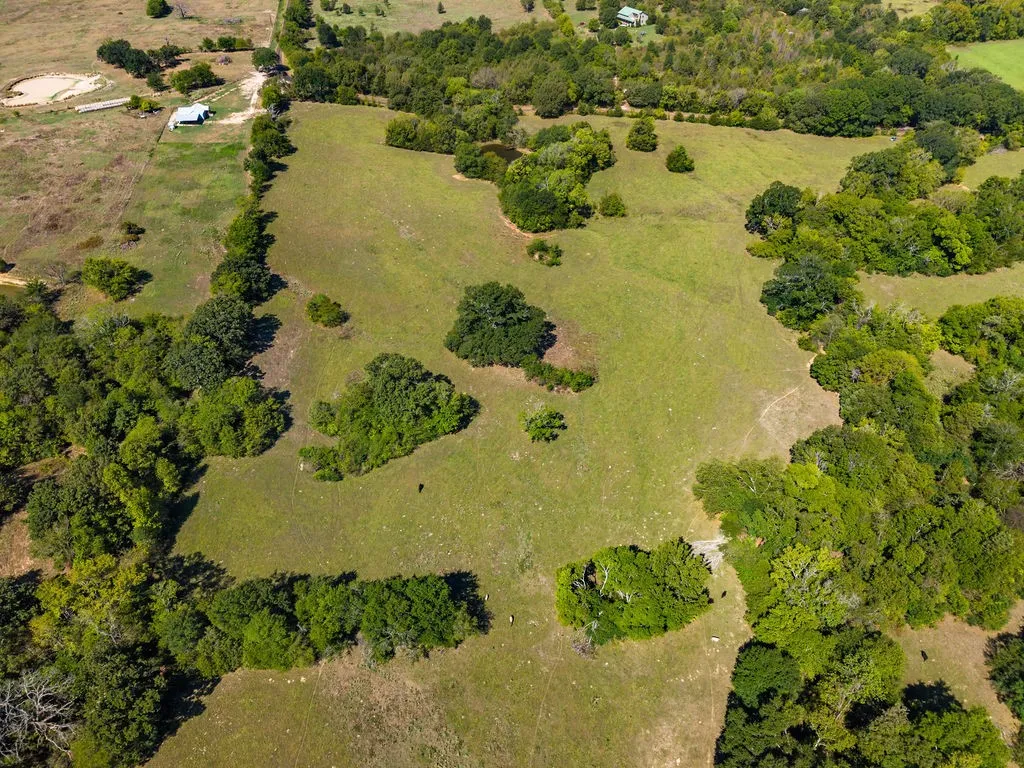 Ranch For Sale in Van Zandt County , 741 County Road 1222, Grand Saline, Texas 75140, 0, 0, Garage spaces, 0 Sqft, built in 0, mls#21191571, Real Estate Agent in Grand Saline, Homes For Sale in Van Zandt county, Homes For Sale in Grand Saline, Realtor in Grand Saline Texas, Real Estate Brokerage Independent Realty Texas, Luminita Cordes Realtor