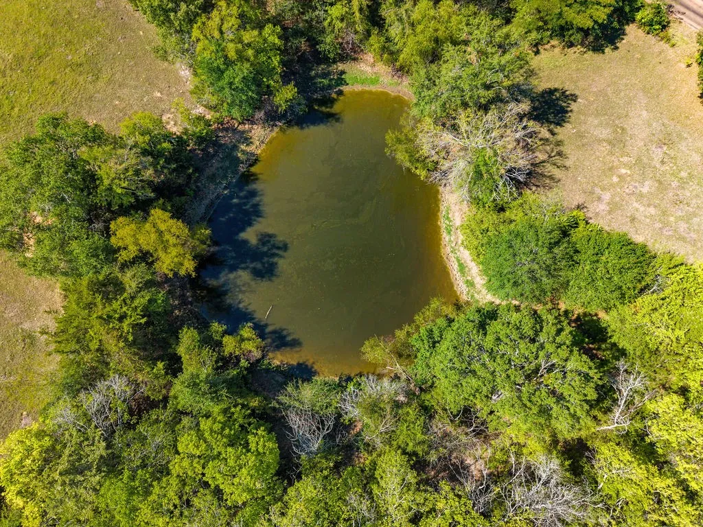 Ranch For Sale in Van Zandt County , 741 County Road 1222, Grand Saline, Texas 75140, 0, 0, Garage spaces, 0 Sqft, built in 0, mls#21191571, Real Estate Agent in Grand Saline, Homes For Sale in Van Zandt county, Homes For Sale in Grand Saline, Realtor in Grand Saline Texas, Real Estate Brokerage Independent Realty Texas, Luminita Cordes Realtor