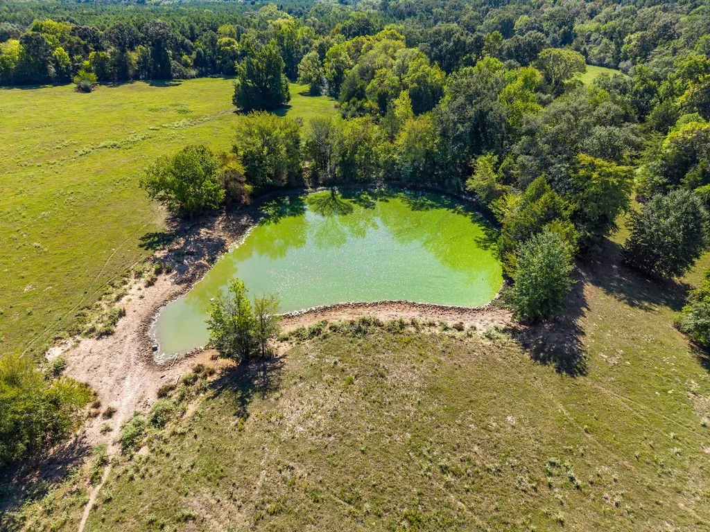 Ranch For Sale in Van Zandt County , 741 County Road 1222, Grand Saline, Texas 75140, 0, 0, Garage spaces, 0 Sqft, built in 0, mls#21191571, Real Estate Agent in Grand Saline, Homes For Sale in Van Zandt county, Homes For Sale in Grand Saline, Realtor in Grand Saline Texas, Real Estate Brokerage Independent Realty Texas, Luminita Cordes Realtor