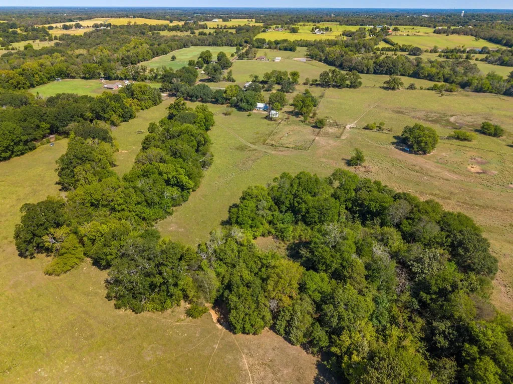 Ranch For Sale in Van Zandt County , 741 County Road 1222, Grand Saline, Texas 75140, 0, 0, Garage spaces, 0 Sqft, built in 0, mls#21191571, Real Estate Agent in Grand Saline, Homes For Sale in Van Zandt county, Homes For Sale in Grand Saline, Realtor in Grand Saline Texas, Real Estate Brokerage Independent Realty Texas, Luminita Cordes Realtor