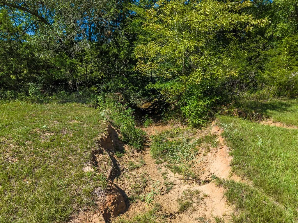 Ranch For Sale in Van Zandt County , 741 County Road 1222, Grand Saline, Texas 75140, 0, 0, Garage spaces, 0 Sqft, built in 0, mls#21191571, Real Estate Agent in Grand Saline, Homes For Sale in Van Zandt county, Homes For Sale in Grand Saline, Realtor in Grand Saline Texas, Real Estate Brokerage Independent Realty Texas, Luminita Cordes Realtor