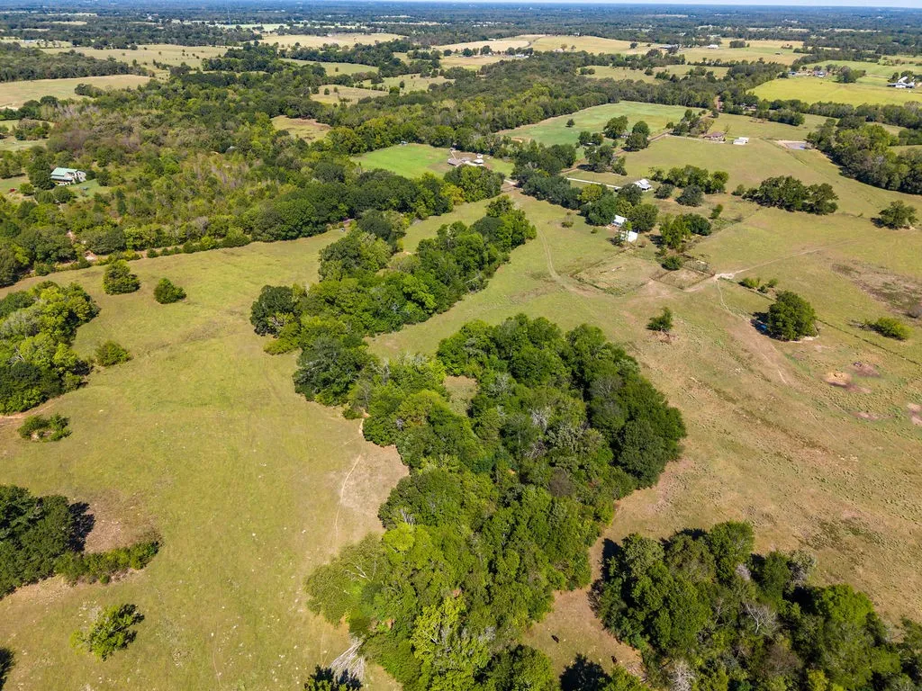 Ranch For Sale in Van Zandt County , 741 County Road 1222, Grand Saline, Texas 75140, 0, 0, Garage spaces, 0 Sqft, built in 0, mls#21191571, Real Estate Agent in Grand Saline, Homes For Sale in Van Zandt county, Homes For Sale in Grand Saline, Realtor in Grand Saline Texas, Real Estate Brokerage Independent Realty Texas, Luminita Cordes Realtor