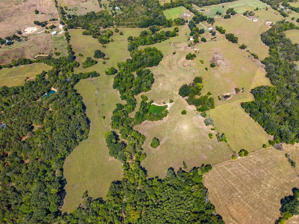 Ranch For Sale in Van Zandt County , 741 County Road 1222, Grand Saline, Texas 75140, 0, 0, Garage spaces, 0 Sqft, built in 0, mls#21191571, Real Estate Agent in Grand Saline, Homes For Sale in Van Zandt county, Homes For Sale in Grand Saline, Realtor in Grand Saline Texas, Real Estate Brokerage Independent Realty Texas, Luminita Cordes Realtor
