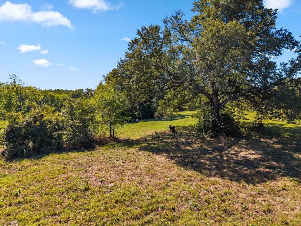 Ranch For Sale in Van Zandt County , 741 County Road 1222, Grand Saline, Texas 75140, 0, 0, Garage spaces, 0 Sqft, built in 0, mls#21191571, Real Estate Agent in Grand Saline, Homes For Sale in Van Zandt county, Homes For Sale in Grand Saline, Realtor in Grand Saline Texas, Real Estate Brokerage Independent Realty Texas, Luminita Cordes Realtor