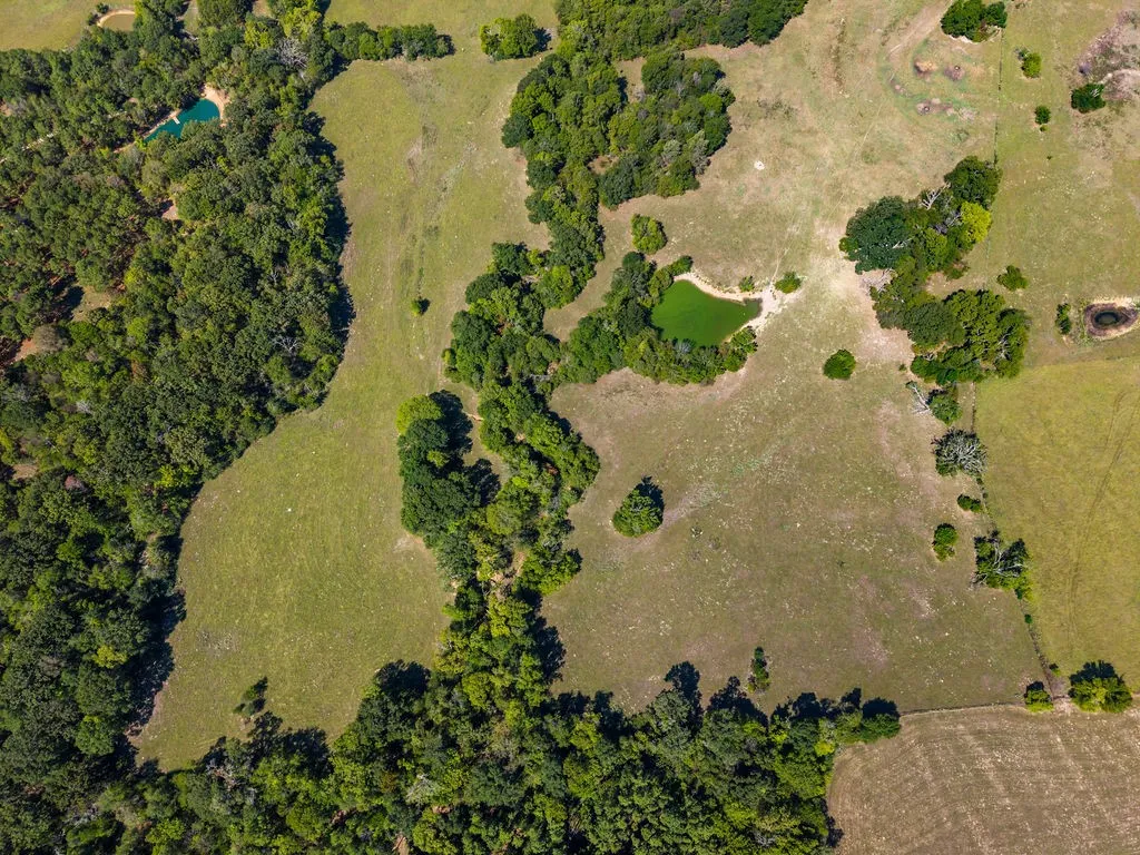 Ranch For Sale in Van Zandt County , 741 County Road 1222, Grand Saline, Texas 75140, 0, 0, Garage spaces, 0 Sqft, built in 0, mls#21191571, Real Estate Agent in Grand Saline, Homes For Sale in Van Zandt county, Homes For Sale in Grand Saline, Realtor in Grand Saline Texas, Real Estate Brokerage Independent Realty Texas, Luminita Cordes Realtor